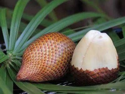  味道|四种口味奇特反胃的水果，榴莲落选，还有一种被称为“呕吐果”？