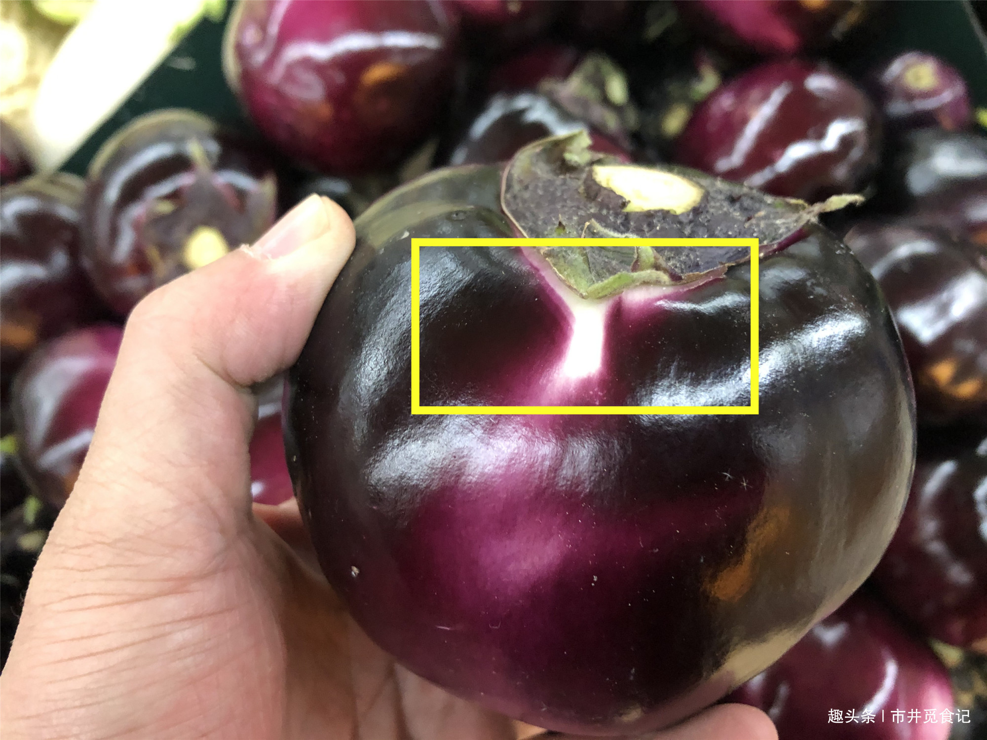 茄子|买茄子时，记住2个小窍门，轻松挑到嫩茄子，新鲜水嫩没有籽