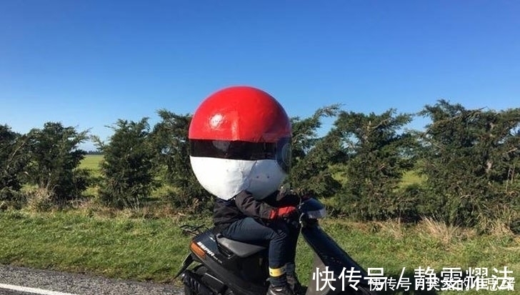 |搞笑那1刻:世上笨鸟有三种,一种是先飞的,一种是嫌累不飞的