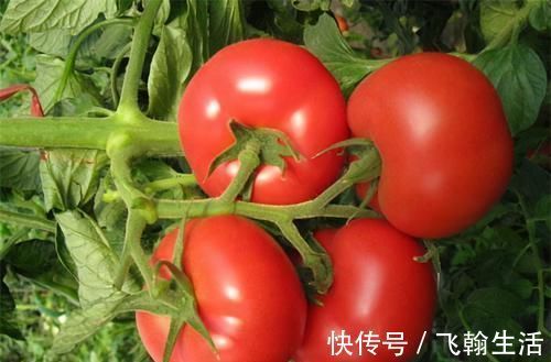 血管垃圾|人到中年，多吃3種食物，清除血管垃圾，排毒養顏，早吃早好！