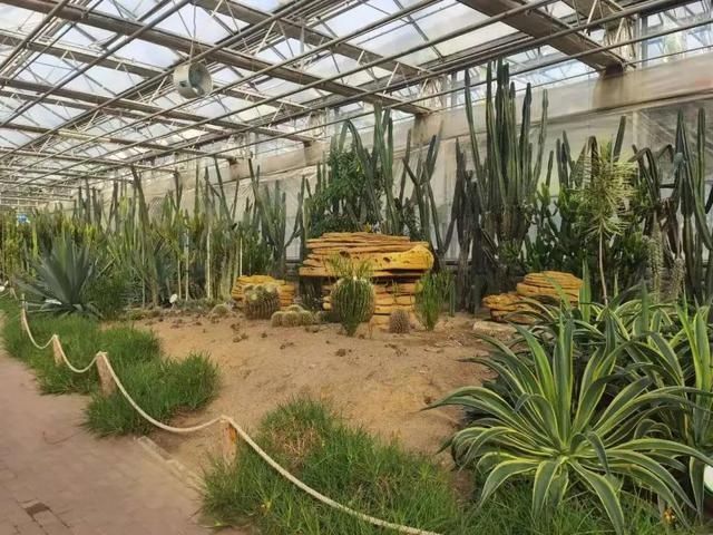 又一打卡地!快来长春农博园赏美景、购好物