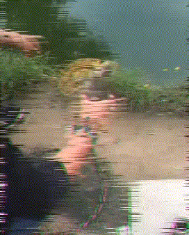 |搞笑GIF:这才是史上最牛婚车,没毛病