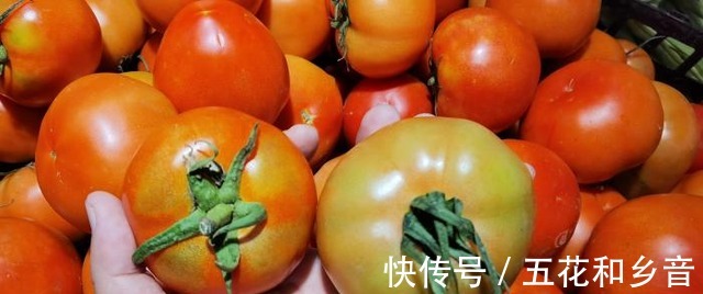 买西红柿要挑母的，老菜农教我一招看顶部一眼能辨别，真实用！