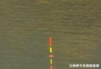 新手调漂，如何准确调漂找底以及更好的调节浮漂灵敏度，看这里