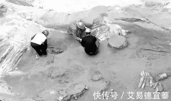 小骆驼|古人反盗墓的三大“毒招”,现代盗墓贼都被毒死在墓中!