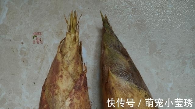 买春笋有诀窍,先别管大小,切记“2不买”,实惠好吃还特别鲜嫩