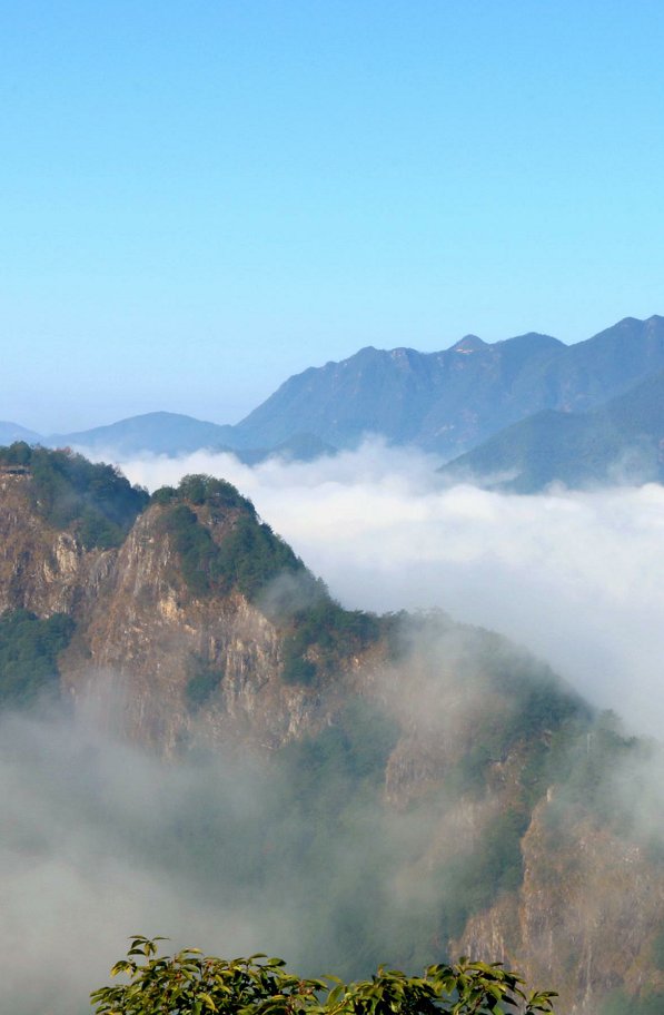 上帝偏爱的山水秘境！日出云海，观星赏花……这个浙南宝地是藏不住啦~