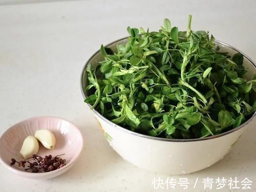 草头|它被称为“牧草之王”,在城里却成了营养野菜,10元1斤很畅销