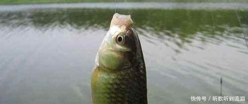 钓友|冬钓如何选择钓位?老钓友常用这3个“大招”,钓到天黑也不想走