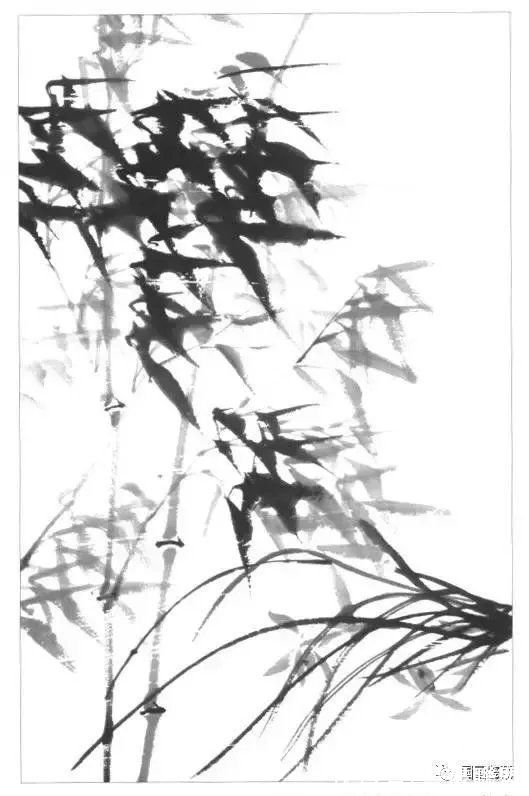 兰叶@国画兰花绘画技法，怎样画兰，兰与竹的组合画法教程