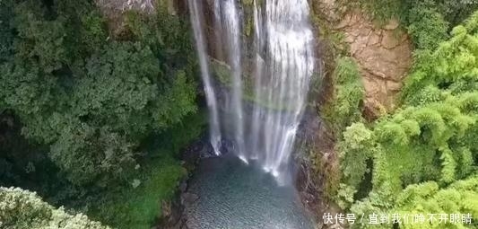 画卷|古树参天、掩天遮日、曲径幽远,一幅绚丽多彩的画卷
