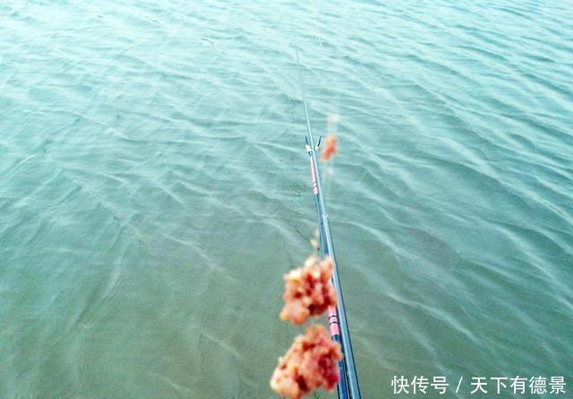 盘点钓鱼当中,让新手钓友比较头疼的问题