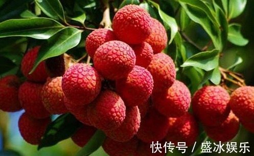 红枣|肝毒“最怕”以下4种水果,经常吃一点,养肝排毒,肝病不来扰