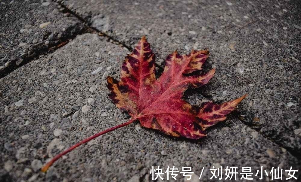 底气$一个人强大的标志:教养