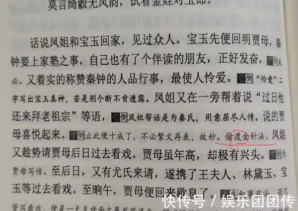 贾母$红楼梦中有偷度金针法，什么是偷度金针？哪一段是偷度金针？