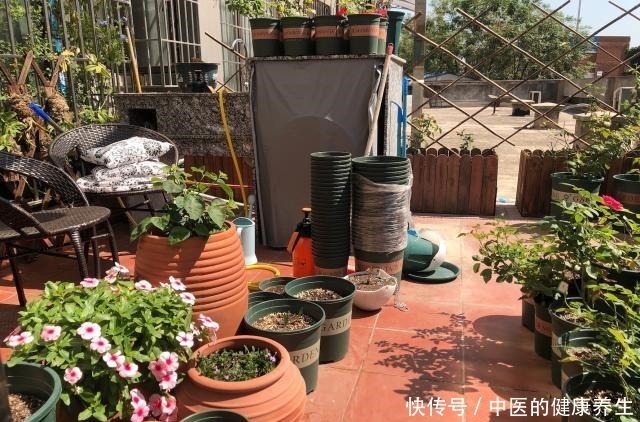 木栅栏|有露台的房子不仅可以做花园,晒衣服晒被子也很实用,邻居超羡慕!