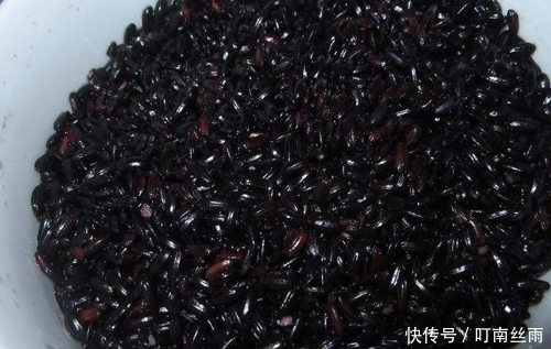 黑米|冬天健康饮食,少不了这些食物,一定有你喜欢吃的