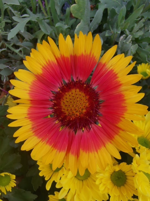 生肖|11月27-11月30日,大吉大利,添财添福,喜迎人生上上签的4大生肖