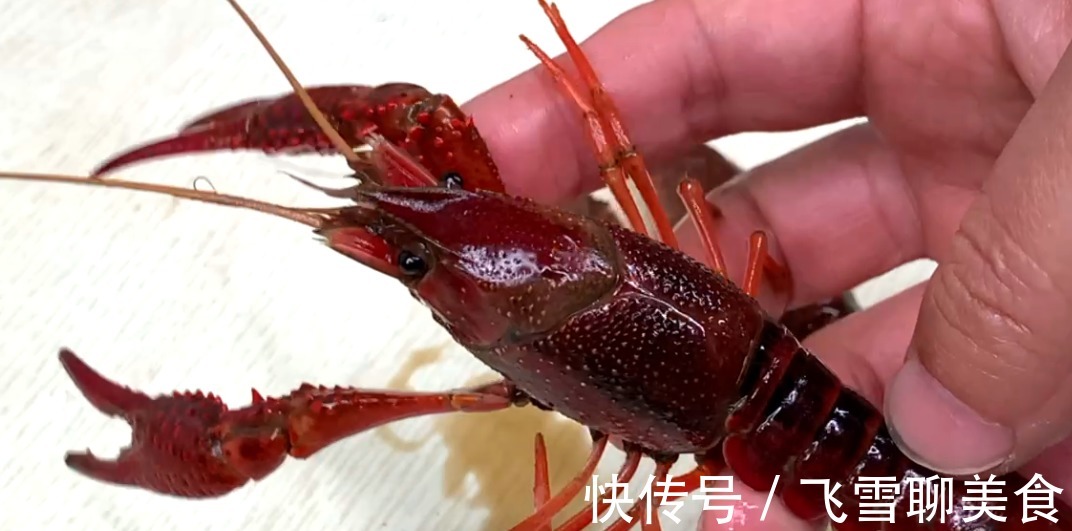 垃圾|小龙虾别直接用清水洗,相当于吃垃圾,教你小技巧,垃圾自动跑光