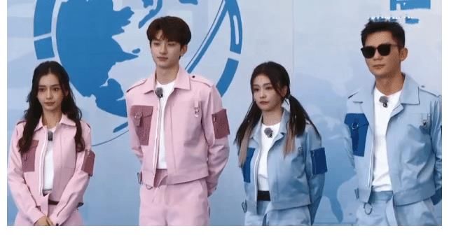 不做演員會做啥職業？李晨是運動員，baby是外科醫生，沙溢很貪心