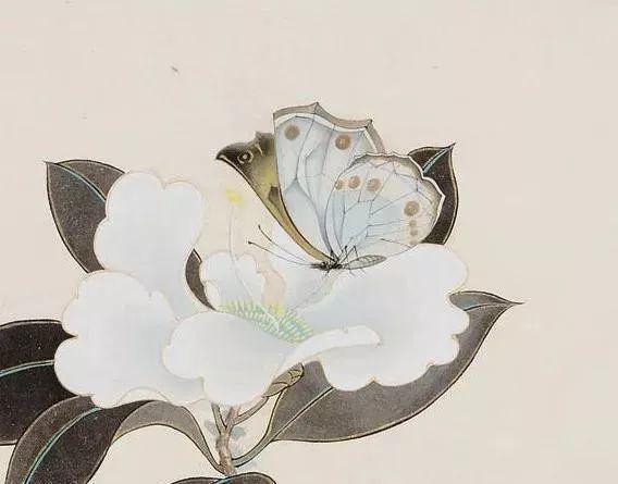 俞致贞|收藏!国画蝴蝶纸上来感觉蝴蝶在动,太逼真了!