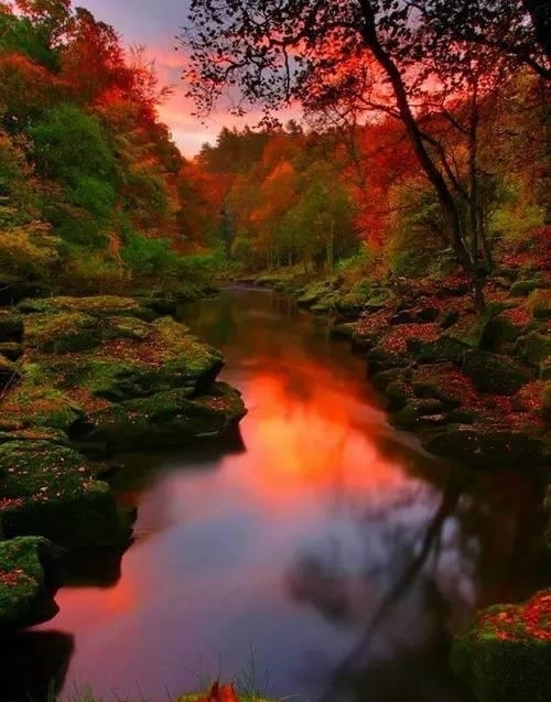 中老年人|50岁以后，不要自作多情