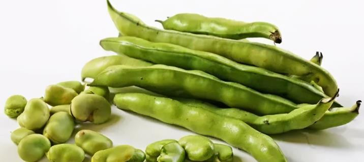 10种食物能补充胆碱,预防老年痴呆症