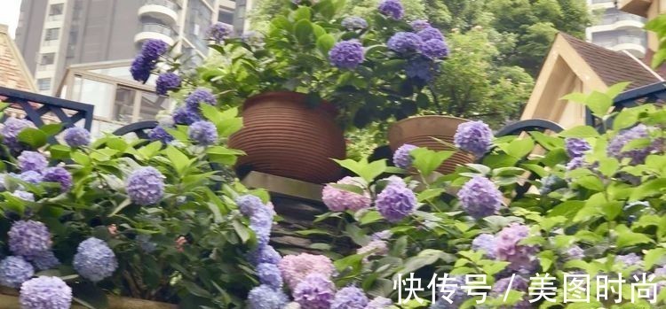 庭院改造:50㎡的下沉式庭院造花园,有地我也建一个,太好看了!