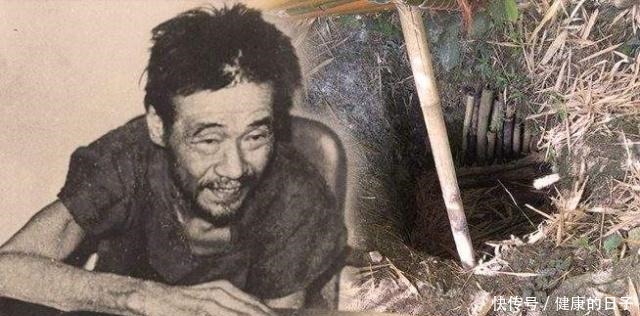二战|日本最后的二战士兵,在孤岛待了近三十年,生吃老鼠居住在洞穴里