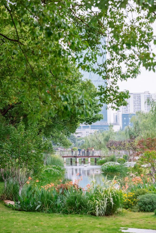 武汉|武汉评出首批20处公园“最美打卡点”