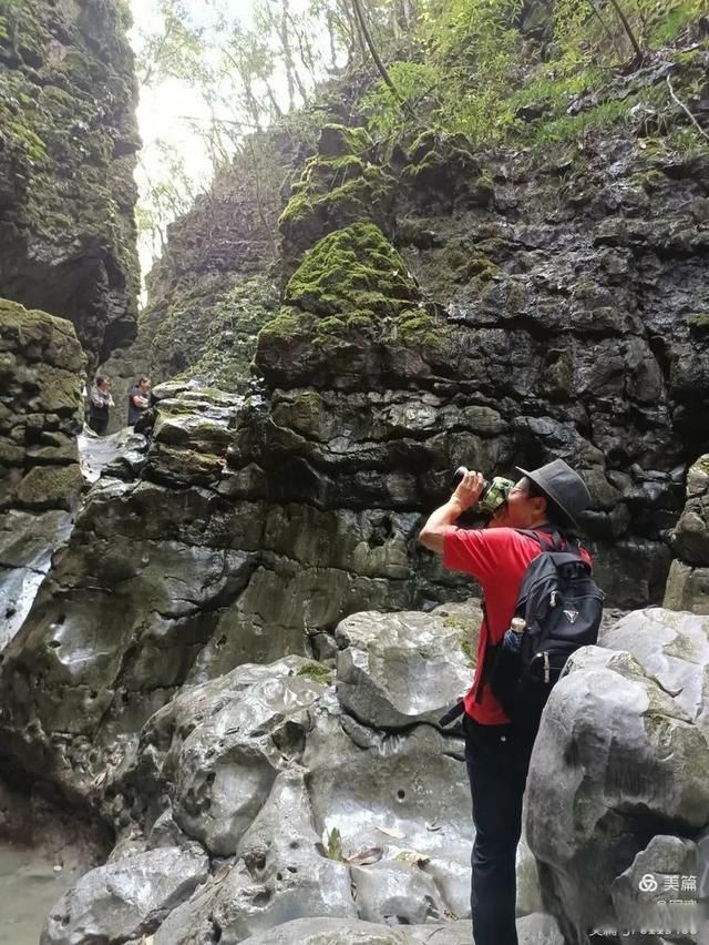 岩壁|探秘鬼斧神工的汉中“大屋基”地缝峡谷，秦巴深处的地质奇观