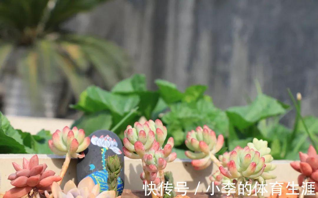 要想成为一名合格的肉友，你还需要知道这些黑话