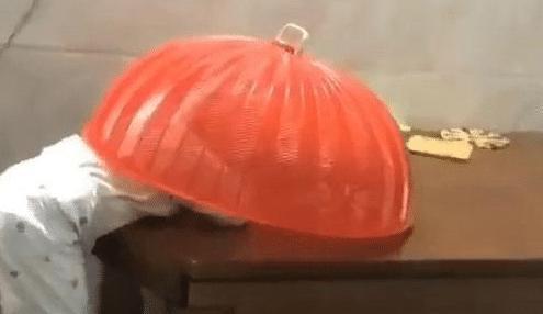 篮子|宝宝掩耳盗铃式偷吃火了!被抓包时还投入的吃着,网友:家贼难防