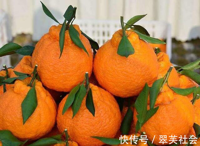 胆固醇|秋季养生,不妨常吃以下水果,排毒养颜,滋养皮肤,还好吃