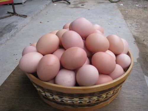 回家|鸡蛋买回家别再放在冰箱了教你一个小窍门,鸡蛋放再久也不会坏