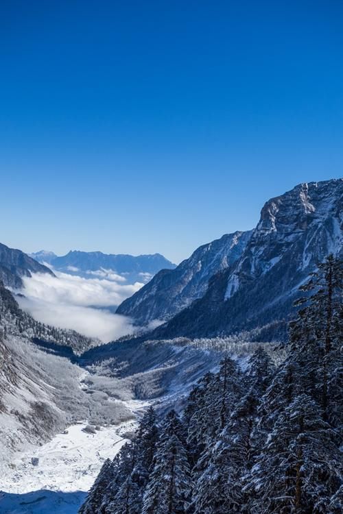 九寨沟|雪后的四川真美，恍若人间仙境，推荐四处热门赏雪地