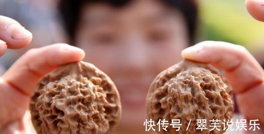 养花|花店老板说往绿萝君子兰盆里塞点它,叶子黑亮,疯狂开花!