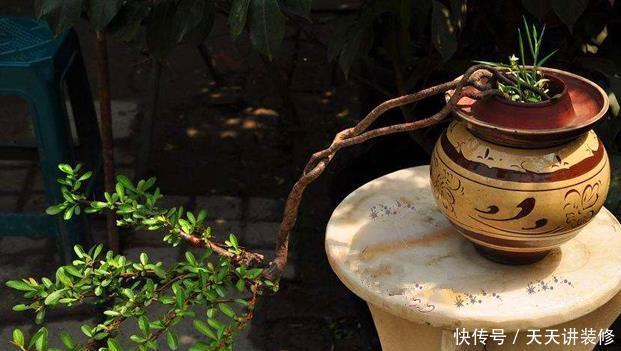 红砖、青瓦、烂木头，一定要拿来养花，一个比一个有韵味