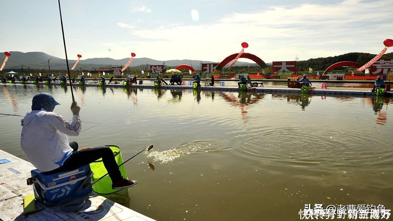 渔获|同样都是钓鱼，为何专业钓鱼人，不如三农钓鱼人渔获多？