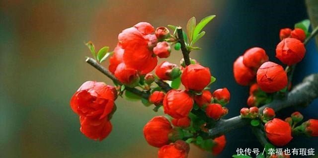 回到|元好问晚年回到故乡,写给儿孙一首诗,指出了人世间最好的教养