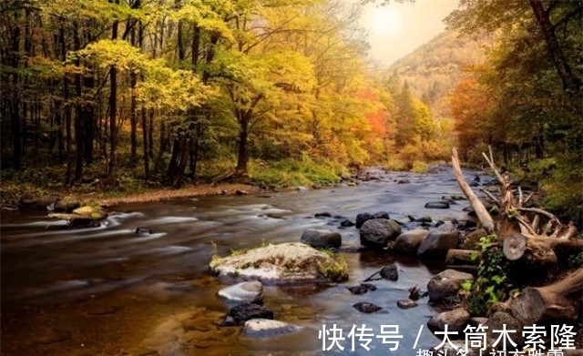 秋天!晚秋秋水诗词五首:秋水才深四五尺,野航恰受两三人