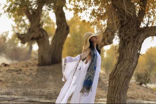 秋天|36首诗词，描写胡杨林里的故事:多少沧桑都淡看，诗吟大美在金秋