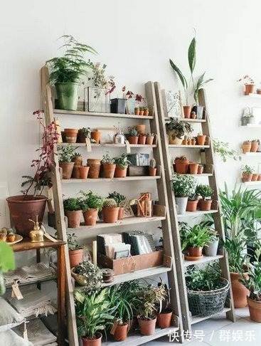 用完的鸡蛋壳千万别扔,不然让你超后悔