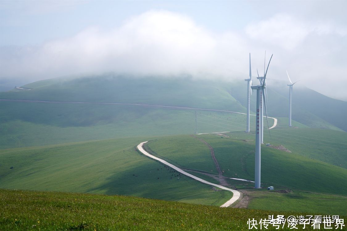 千松坝森林公园|治愈系美景，自驾者的天堂，千松坝森林公园暑假旅行的最佳地