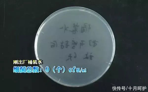 家用电器|家里细菌最多的竟是饮水机，感染家庭后悔知道太晚