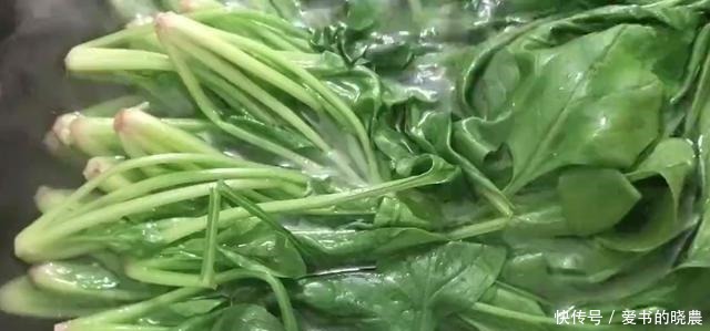 大蒜菠菜,菠菜什么时候吃原来你做错一定要好吃