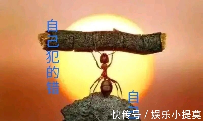 药房|《错换事件》:大药房不能太自私了
