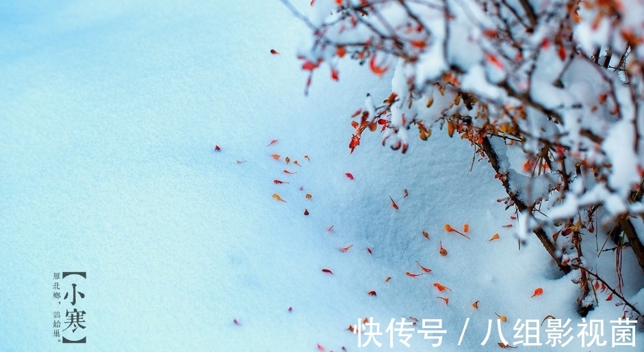 梅花饺!小寒时节,让我们一起走进诗词,感受属于“小寒”的那份韵味。