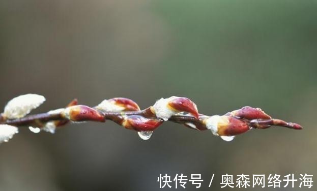 金璋|精选十二首带雨露的古诗词, 美到心醉, 分享