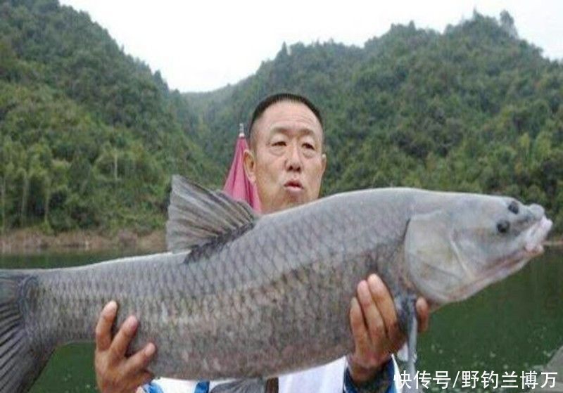 水域|李大毛所到之处:“水涨船高”,其实并非如此,不要被表面所蒙蔽